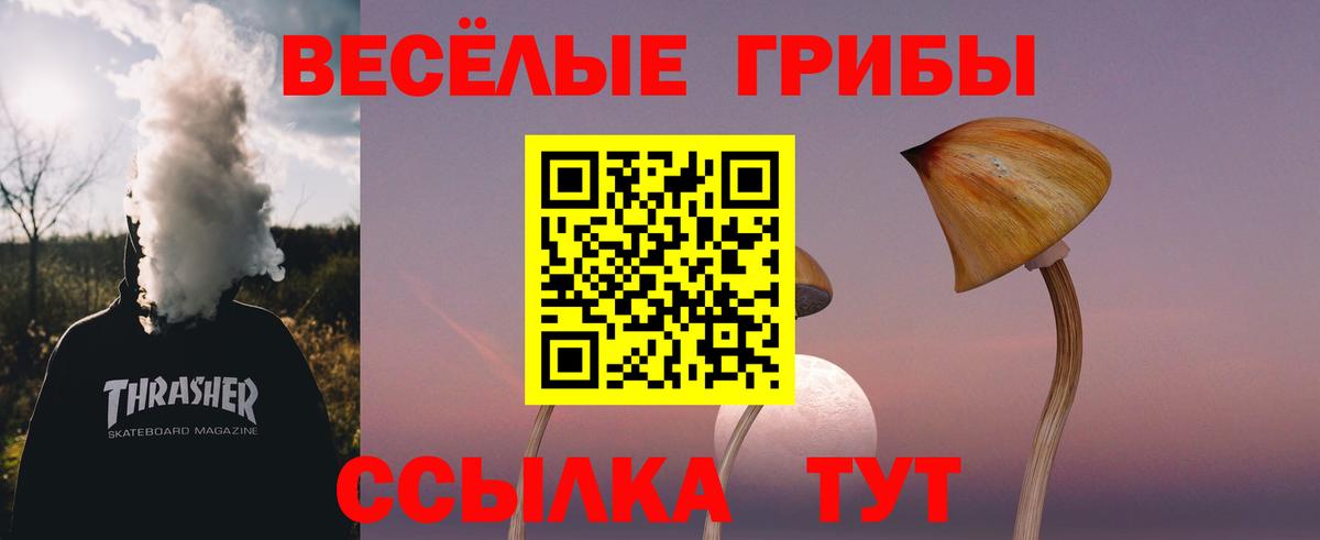 Псилоцибиновые грибы мицелий  Вход с VPN  Улан-Удэ 